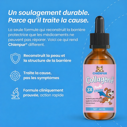 CHIENPUR ®