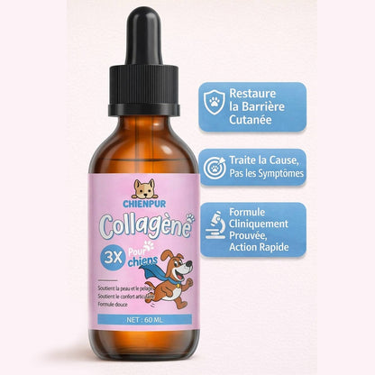 CHIENPUR ®