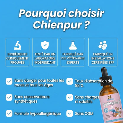 CHIENPUR ®